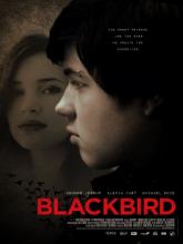 Blackbird (Чёрный дрозд), 2012