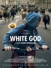 Fehér Isten (Белый Бог), 2014