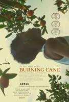 Burning Cane (Горящий тростник), 2019