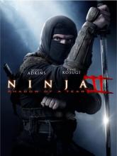 Ninja: Shadow of a Tear (Ниндзя 2), 2013