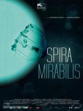 Spira Mirabilis (Удивительная спираль), 2016